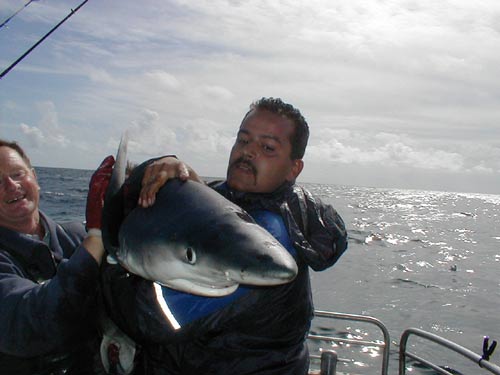 Denis with Blue Shark