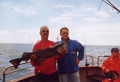 Willem & Huib land blue shark