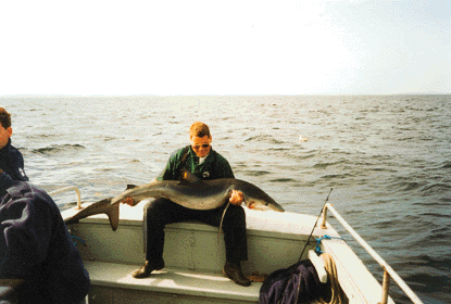 Joep with nice Shark