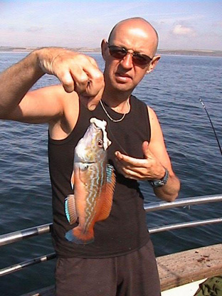 Jack's cuckoo wrasse