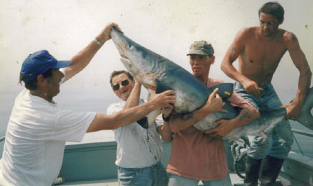 Reyer, Arthur, Pino with a tagged blue shark