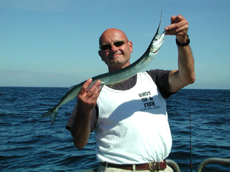 Stipo's garfish