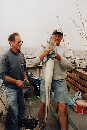 conger_03.jpg