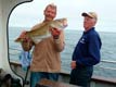Kees & Geritt & a nice cod