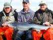 Lasse, Eoin, Birgitte, and a blue