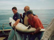 Deep Sea fishing Ireland