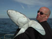 Sea Angling Ireland
